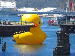 GIANT DUCK