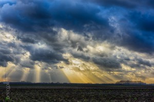 Mijn ouders kozen zelfs hetzelfde tijdstip: valavond in ‘t Verdronken land van Saeftinghe.