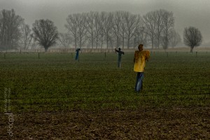 Ik speur naar de oude vogelverschrikker Sam van boer Eugène