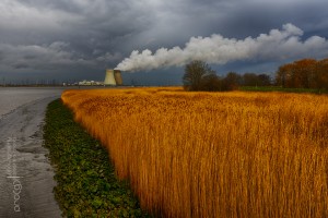 Ik parkeer mijn auto in de berm en luister naar de stilte. Het voelt aangenaam en ik ben verbaasd dat ik die stilte vroeger nooit heb horen zingen.