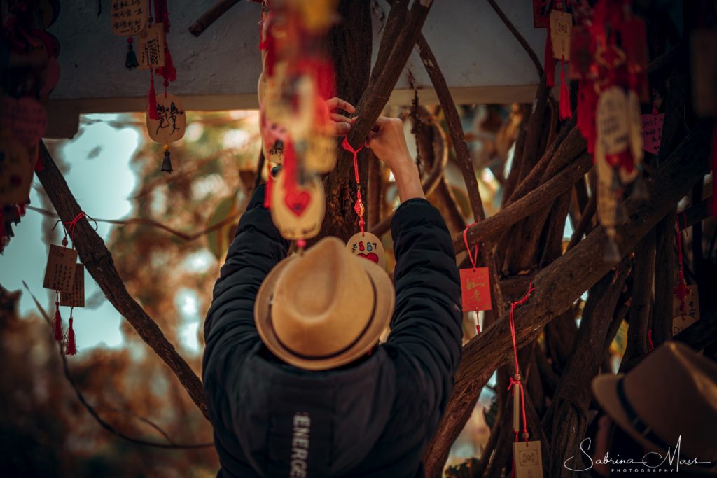 ©Sabrina Maes, Green Lake, Kunming Love Garden