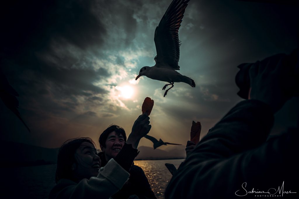 ©Sabrina Maes, Dalian Lake, Sleeping Lady