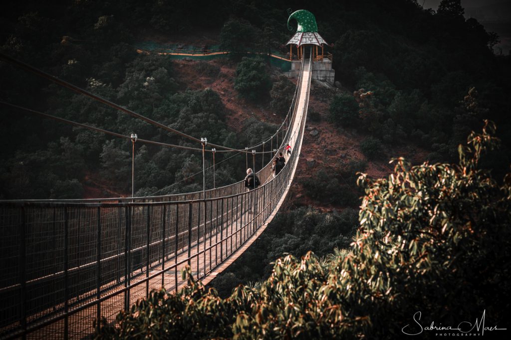 ©Sabrina Maes, Suspension bridge in Dwarf Empire