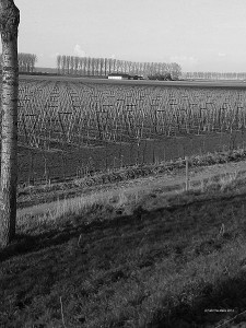 Lopen op de grens...