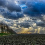 Het pad is omzoomd met ranke peppels en hun wilgachtige kruin is getooid met frisgroene bladeren, die ritselen in de wind.