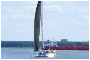 Schelde Regatta 2017, RYCB, Harry Van Den Bergh