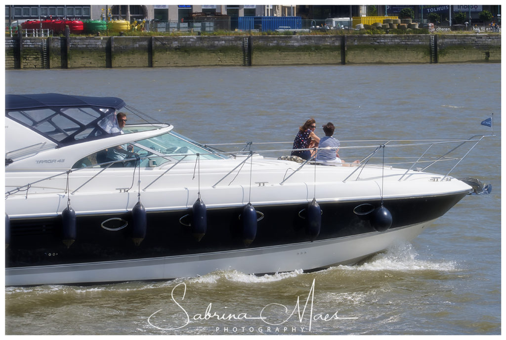 Schelde Regatta 2017, RYCB, Harry Van Den Bergh