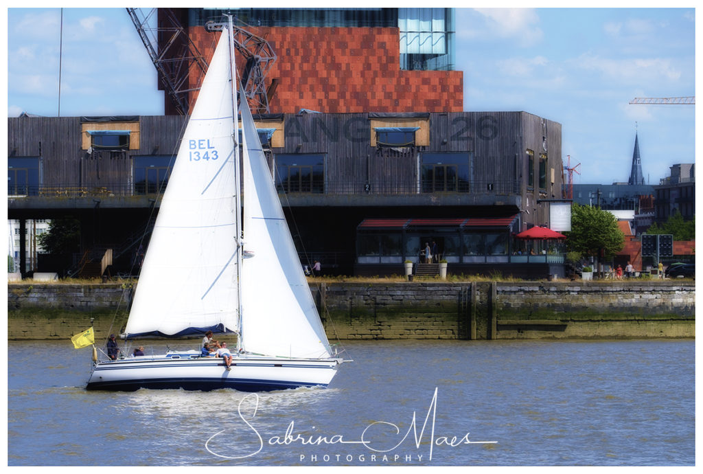 Schelde Regatta 2017, RYCB, Harry Van Den Bergh