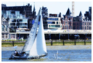 Schelde Regatta 2017, RYCB, Harry Van Den Bergh