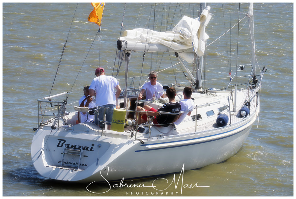 Schelde Regatta 2017, RYCB, Harry Van Den Bergh