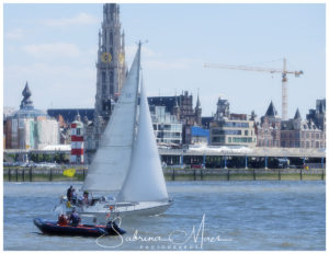 Schelde Regatta 2017, RYCB, Harry Van Den Bergh