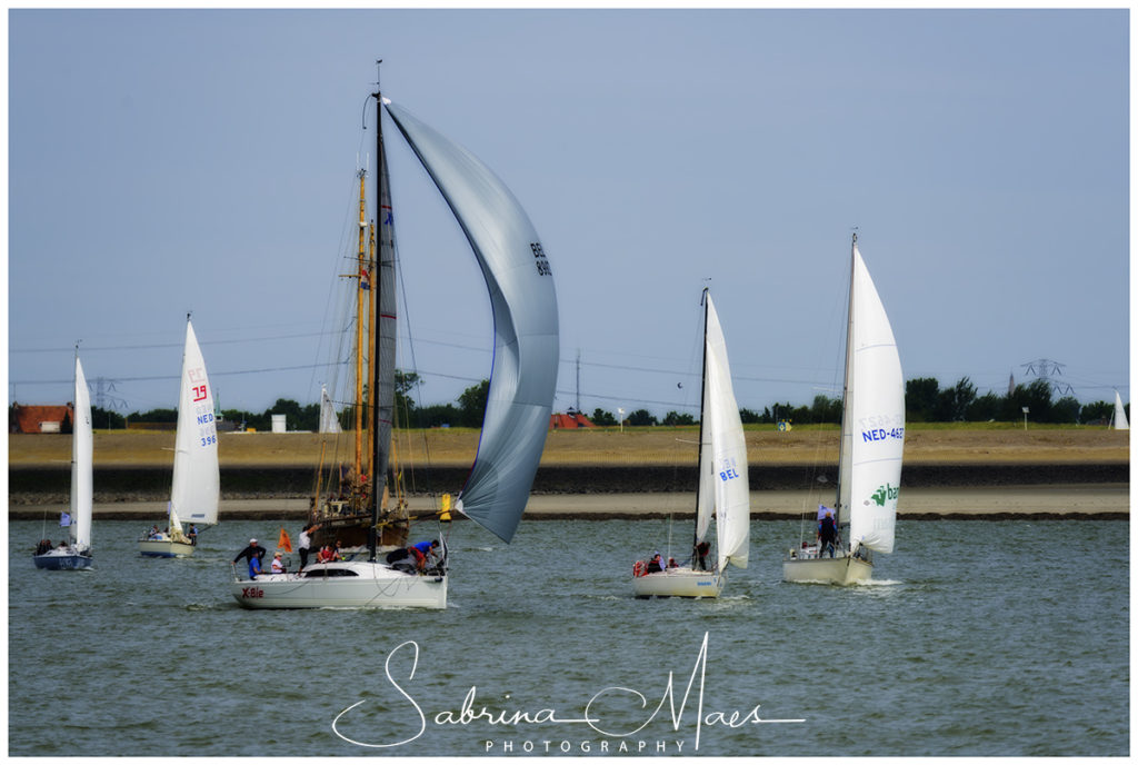 Schelde Regatta 2017, RYCB, Harry Van Den Bergh