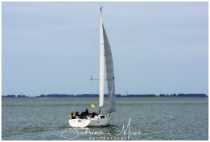 Schelde Regatta 2017, RYCB, Harry Van Den Bergh