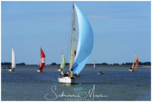 Schelde Regatta 2017, RYCB, Harry Van Den Bergh