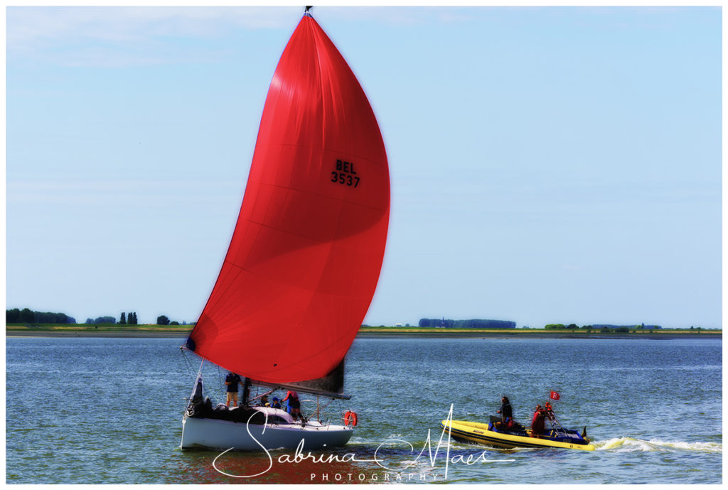 Schelde Regatta 2017, RYCB, Harry Van Den Bergh