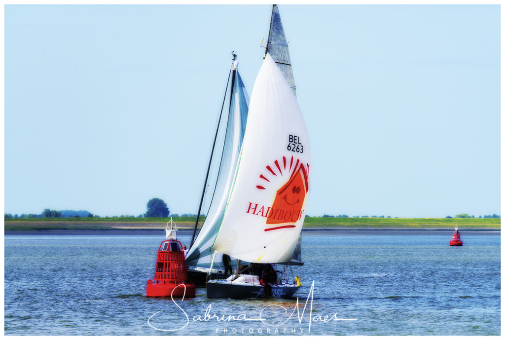 Schelde Regatta 2017, RYCB, Harry Van Den Bergh