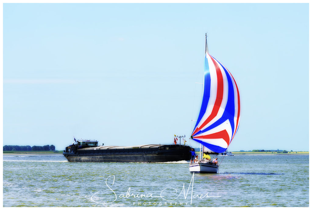 Schelde Regatta 2017, RYCB, Harry Van Den Bergh