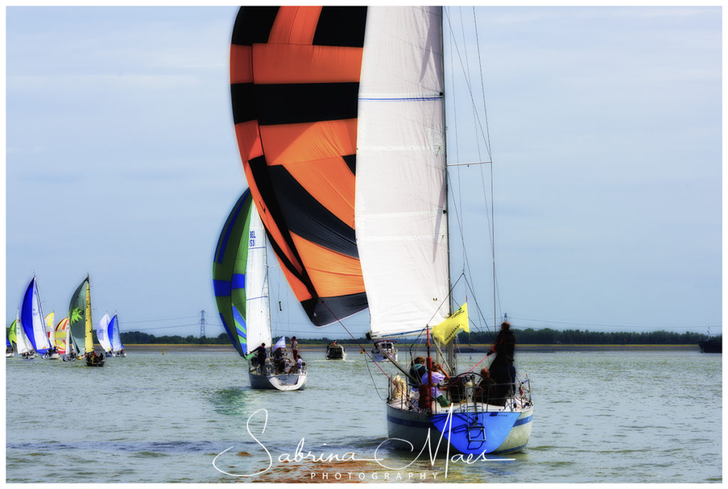 Schelde Regatta 2017, RYCB, Harry Van Den Bergh