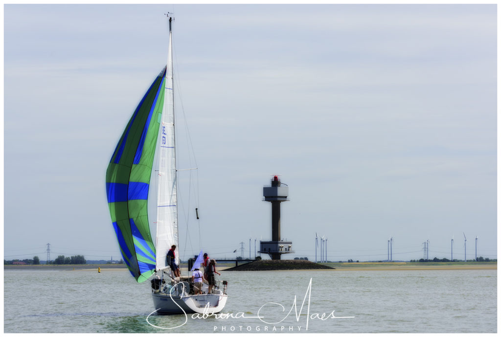 Schelde Regatta 2017, RYCB, Harry Van Den Bergh