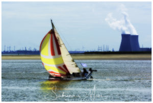 Schelde Regatta 2017, RYCB, Harry Van Den Bergh