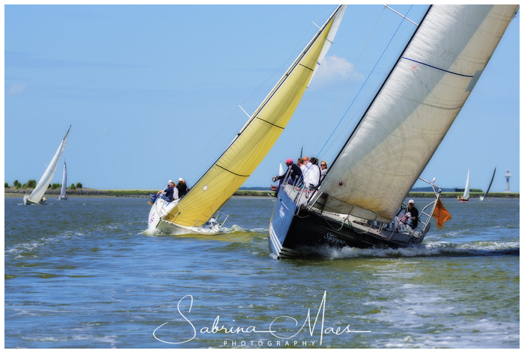 Schelde Regatta 2017, RYCB, Harry Van Den Bergh