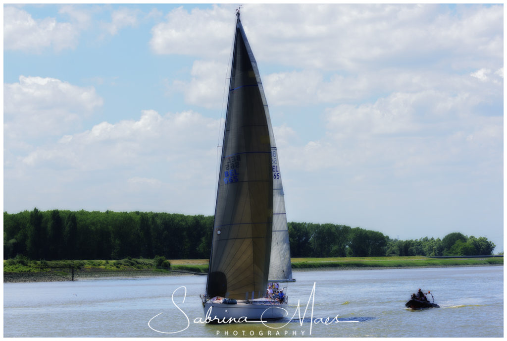 Schelde Regatta 2017, RYCB, Harry Van Den Bergh