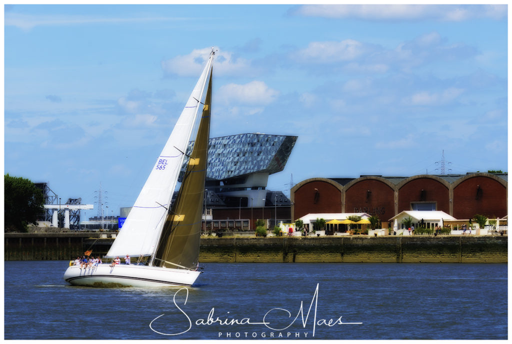 Schelde Regatta 2017, RYCB, Harry Van Den Bergh