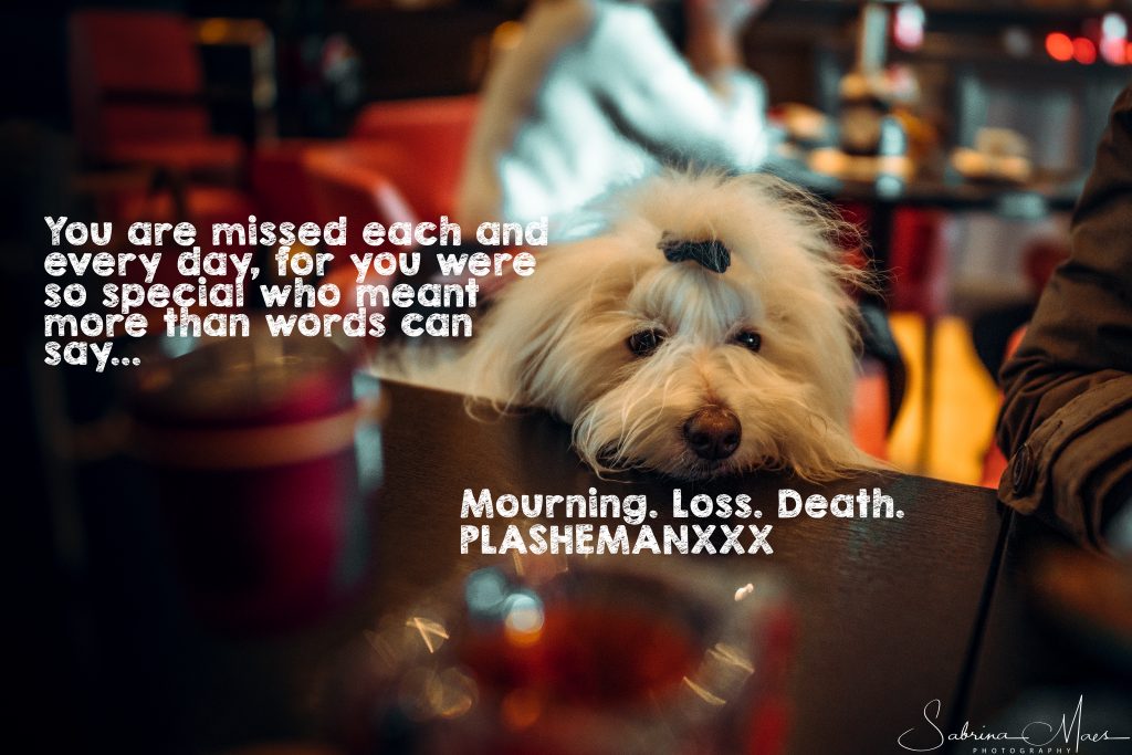 Lieve Phlash, we zullen je zo hard missen