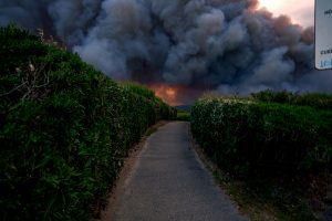 Brand Anglet, Sabrina Maes
