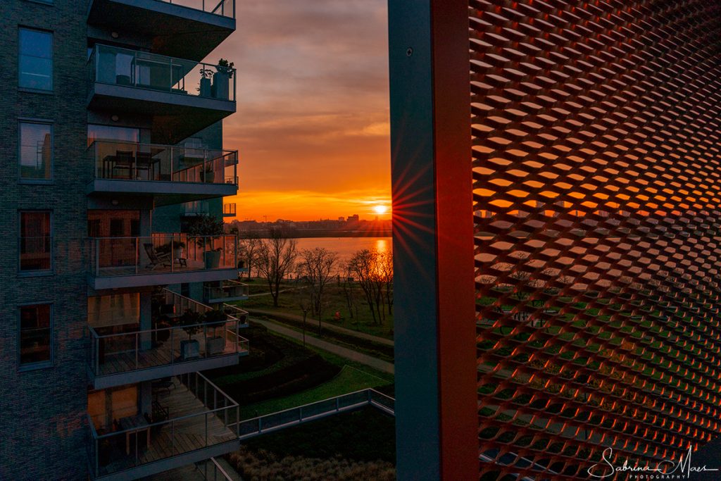 Antwerpen, Sabrina Maes Fotografie