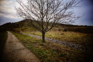 Sabrina Maes B-mine Beringen