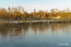 Middenvijver ©Sabrina Maes