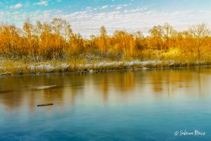 Middenvijver ©Sabrina Maes