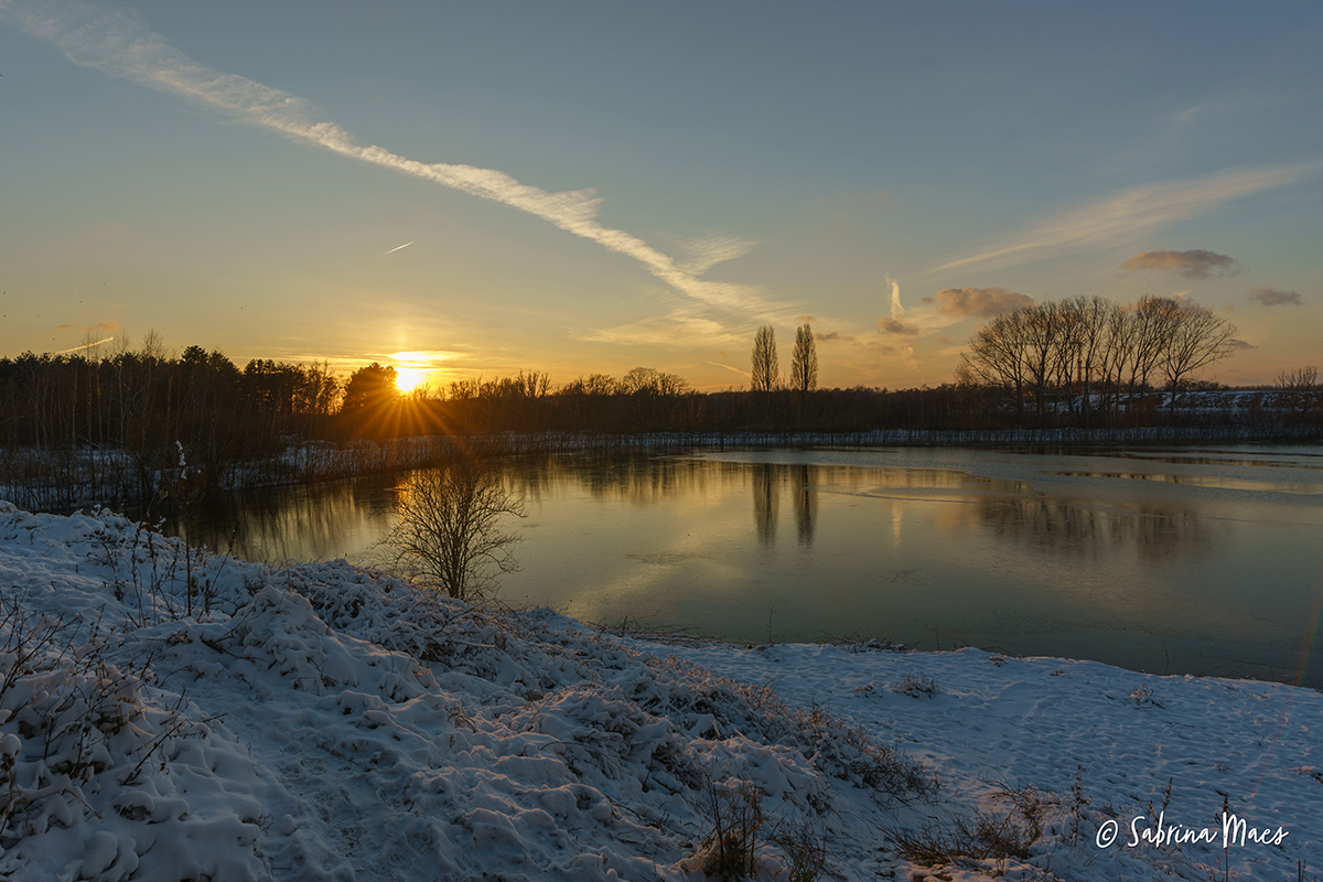 Middenvijver ©Sabrina Maes