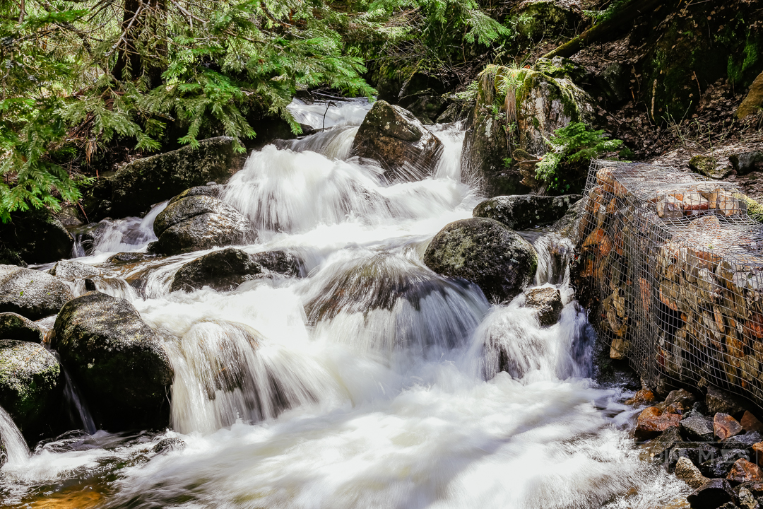 The Golden Brides, Vitosha Mountain, Bulgarije, SABRINA MAES, Fotografie