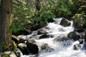 The Golden Brides, Vitosha Mountain, Bulgarije, SABRINA MAES, Fotografie