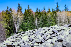 The Golden Brides, Vitosha Mountain, Bulgarije, SABRINA MAES, Fotografie