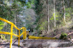 The Golden Brides, Vitosha Mountain, Bulgarije, SABRINA MAES, Fotografie