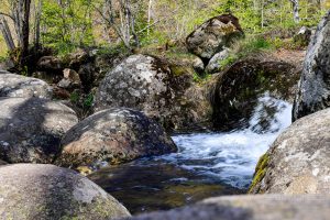 The Golden Brides, Vitosha Mountain, Bulgarije, SABRINA MAES, Fotografie