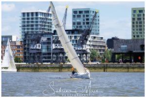 Schelde Regatta 2017, RYCB, Harry Van Den Bergh