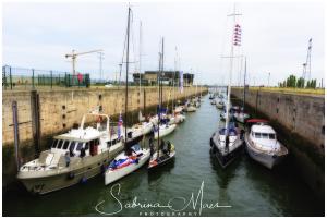 Schelde Regatta 2017, RYCB, Harry Van Den Bergh