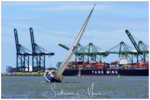 Schelde Regatta 2017, RYCB, Harry Van Den Bergh